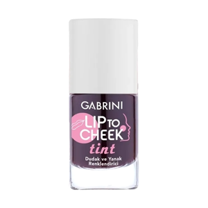 تینت لب مایع گابرینی مدل Lip To Cheek حجم 12 میلی لیتر